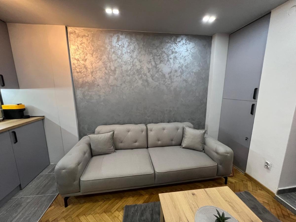 Central Sky View Apartment Belgrade Extérieur photo