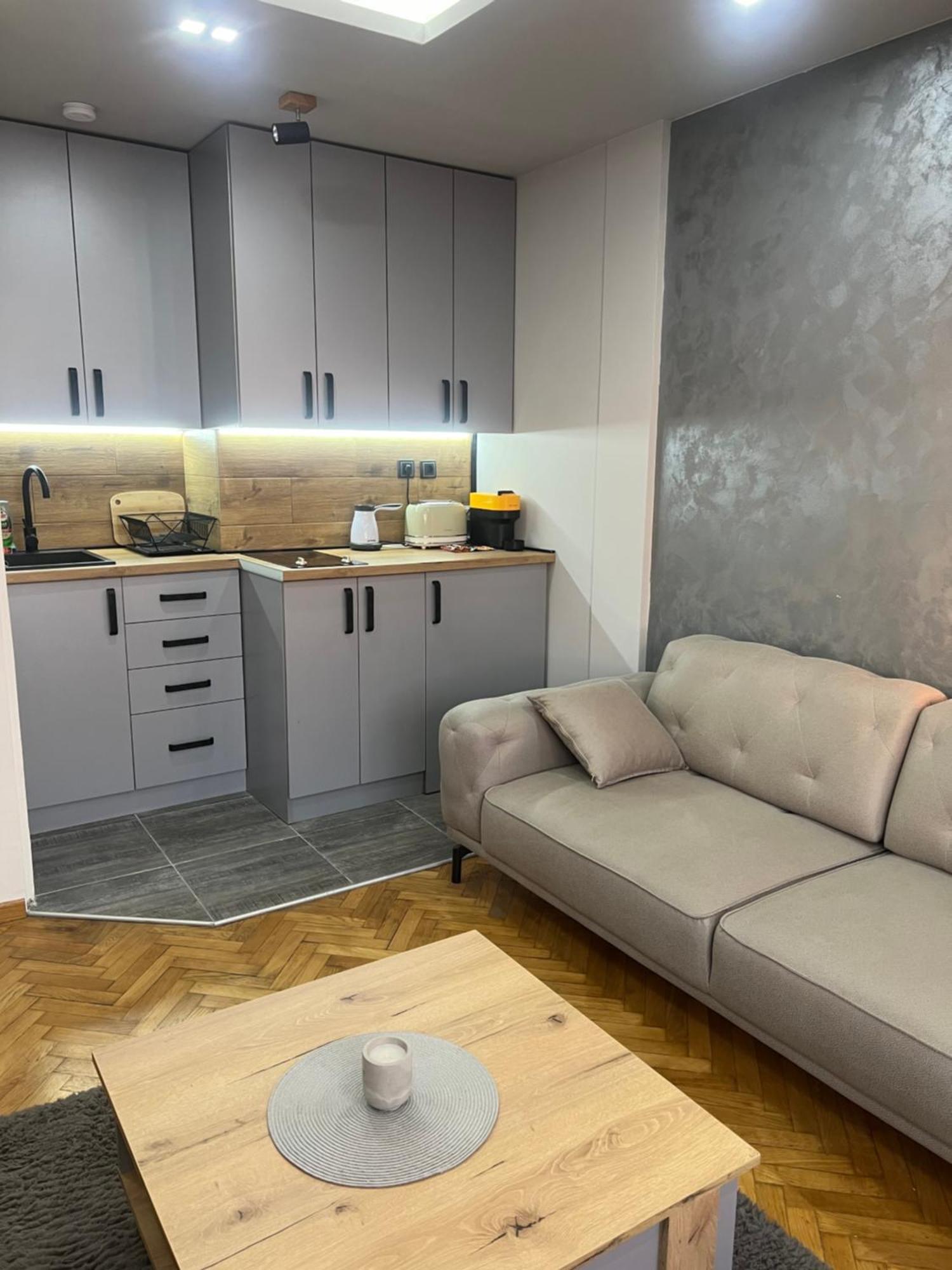 Central Sky View Apartment Belgrade Extérieur photo